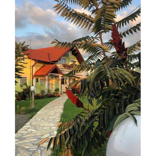 House Antonia