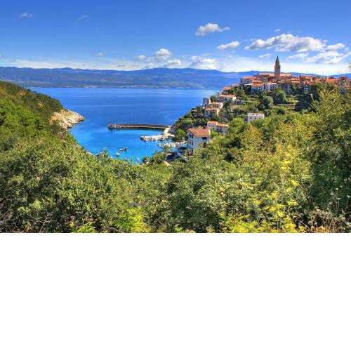 House Baska (913)