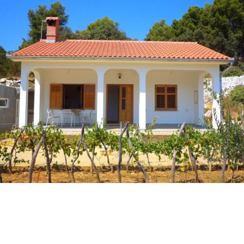 House Fantazija
