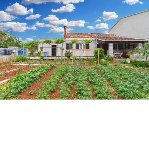 House Fazana 1456