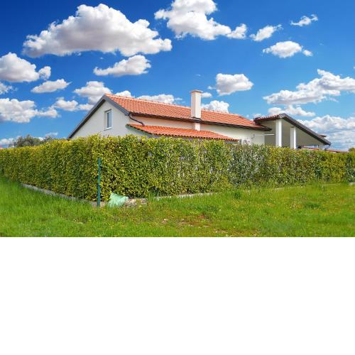 House Fazana 2154