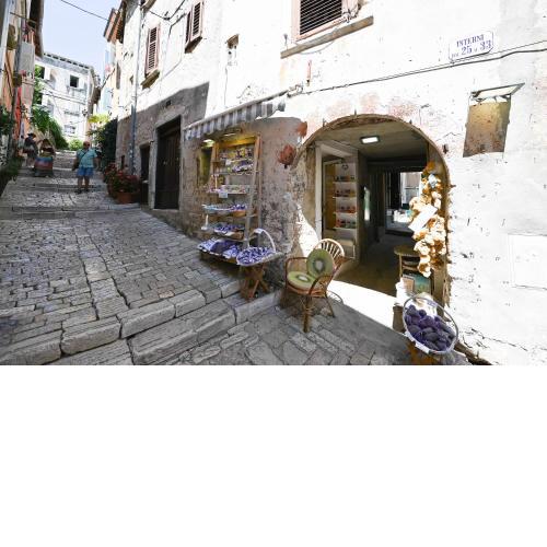 House Grisia 33