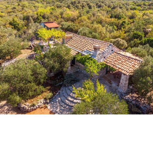House Lavanda