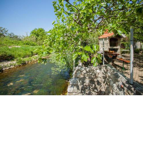 House next to the river Miro