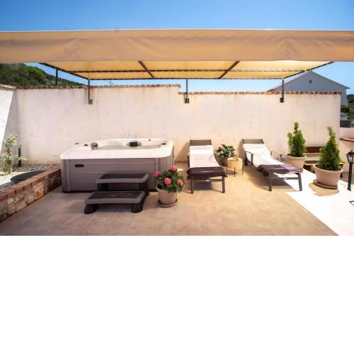 House Olive tree