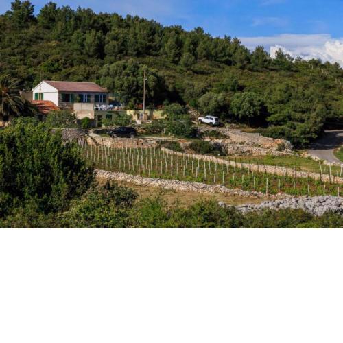House Paradiso