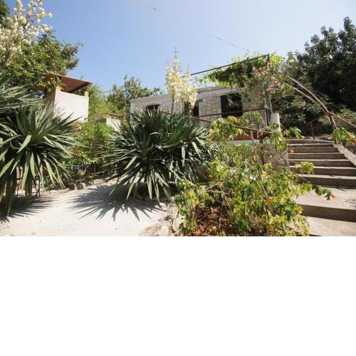 House Paulo1