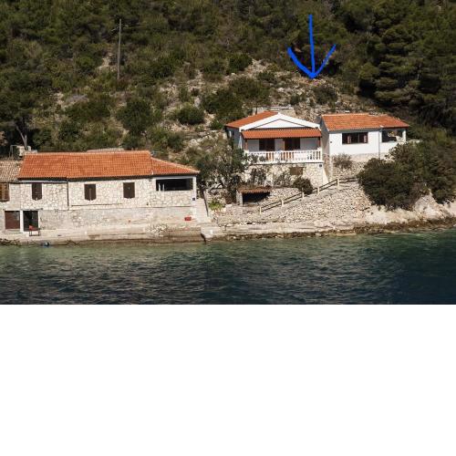 House Vinkli