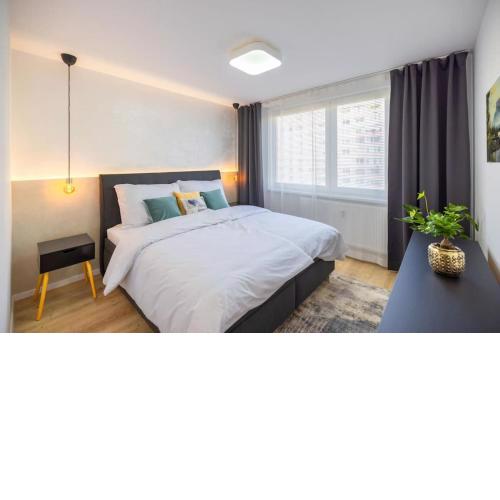 Ice hockey 2 bedroom apartment