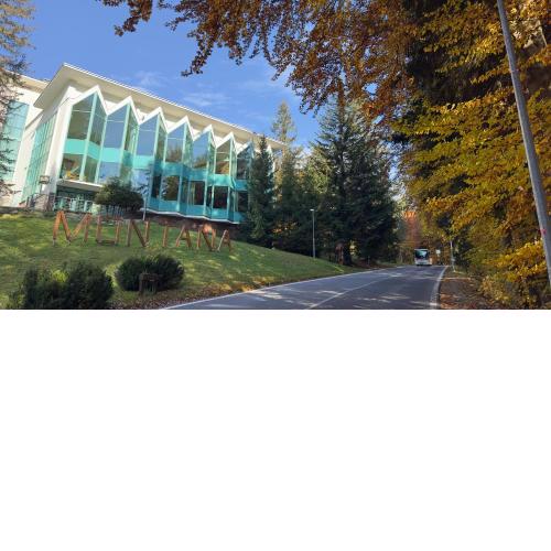 Interhotel Montana