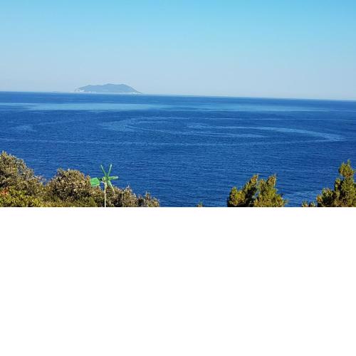 islandescape-bisevo