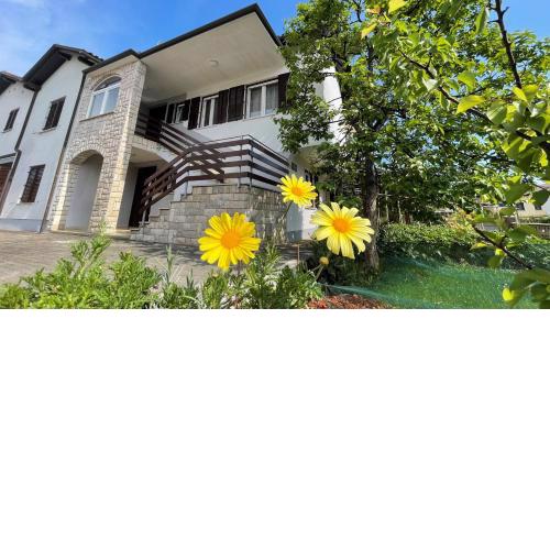 Iva Apartments