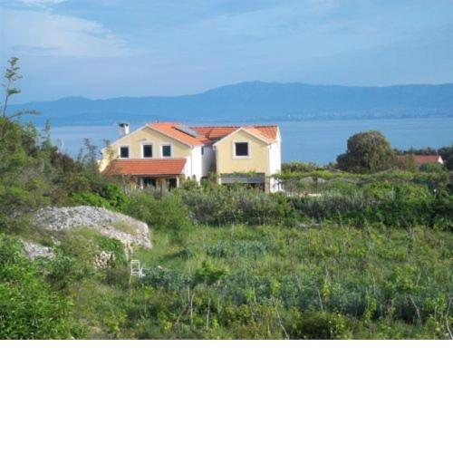 Jenny`s House