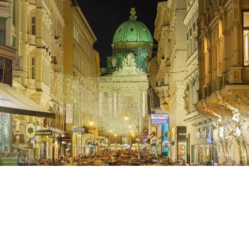 Kaiserin Sissi - City Apartment Downtown Vienna