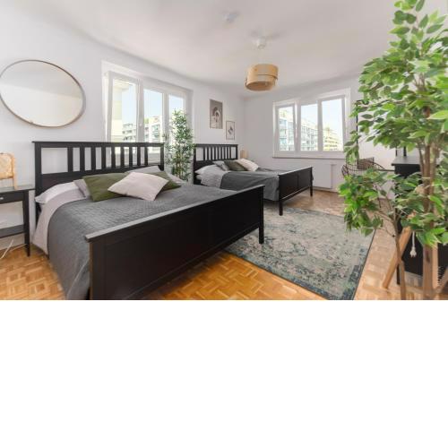 King bed home, 3 bed rooms, Perfect for Long Term Stay