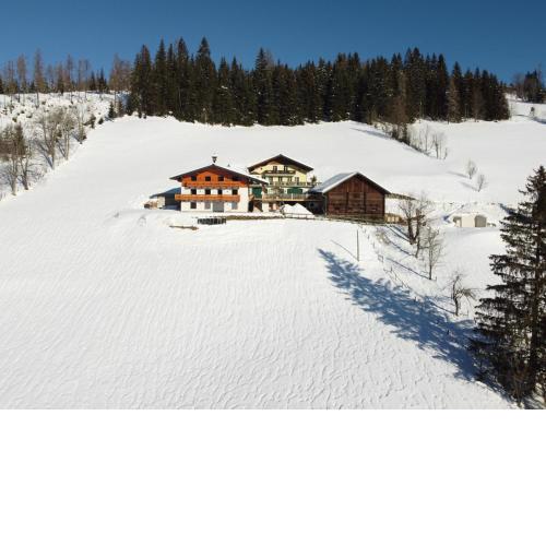 Klammgut
