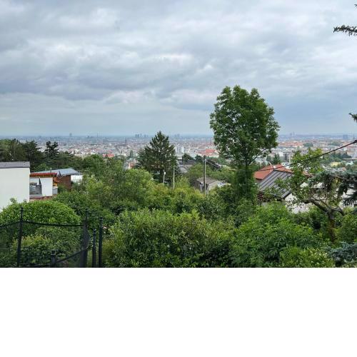 Kleines Haus mit Blick über Wien