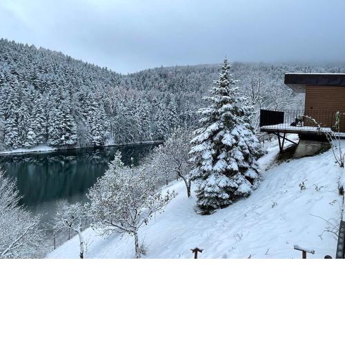 Klinger na dlani - LAKE VIEW