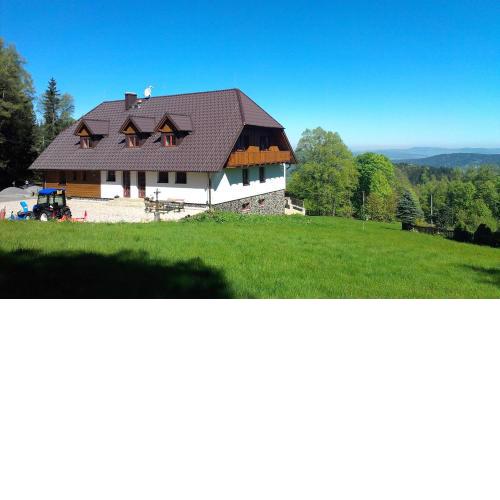 König-in