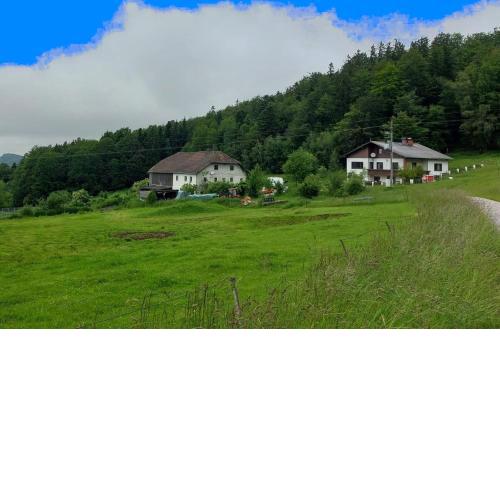 Kriegwald Apartements