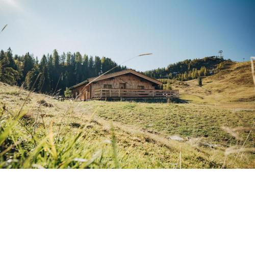 L.A. MOUNTAIN LODGE