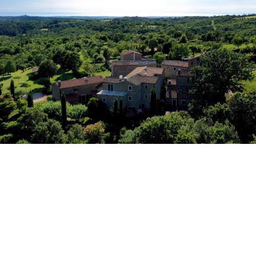 L'abbraccio della quercia