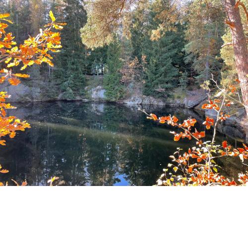 LakeWood - Hidden Mirror Retreat