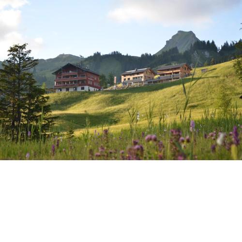 Ländle Hotel