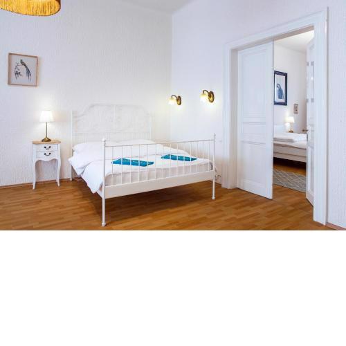 Large 3 BDR APT in the heart of Prague