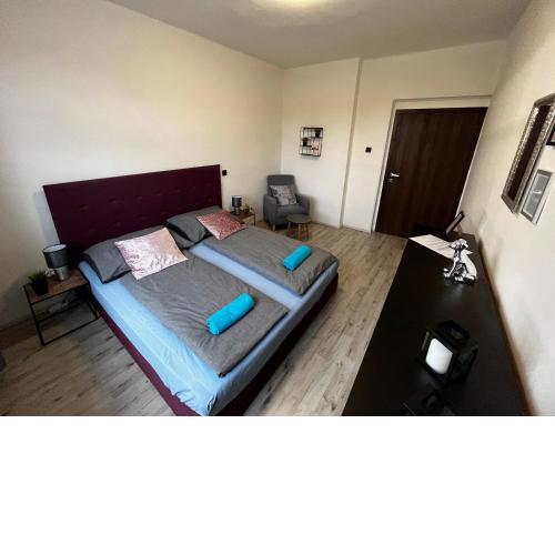Large 3 bedroom apartment with city skyline view
