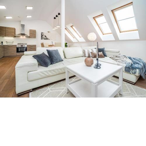 Large and stylish apartment in Prague