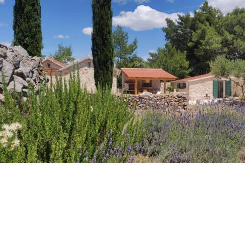 Lavender Dreams Cottage Hvar