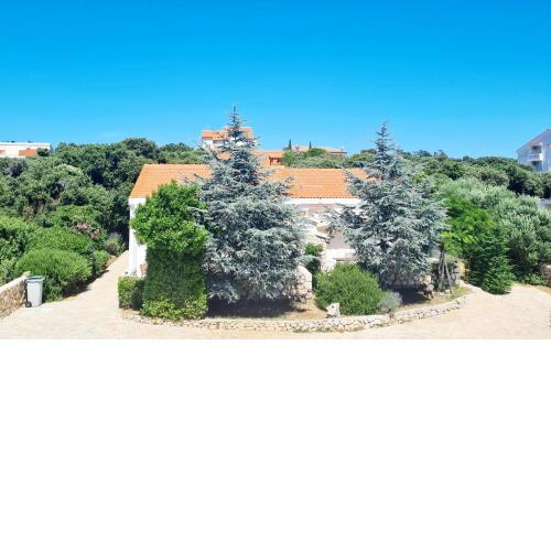 Lavender House