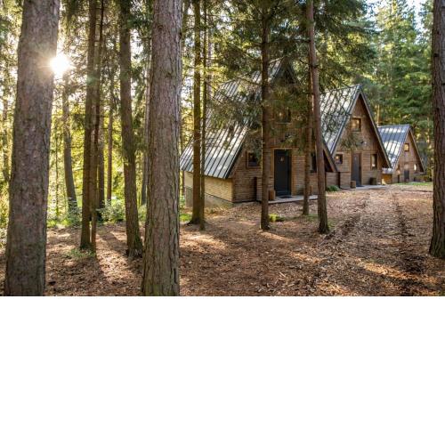 Lesní Apartmány