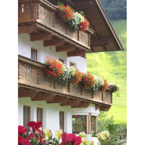 Lexhof