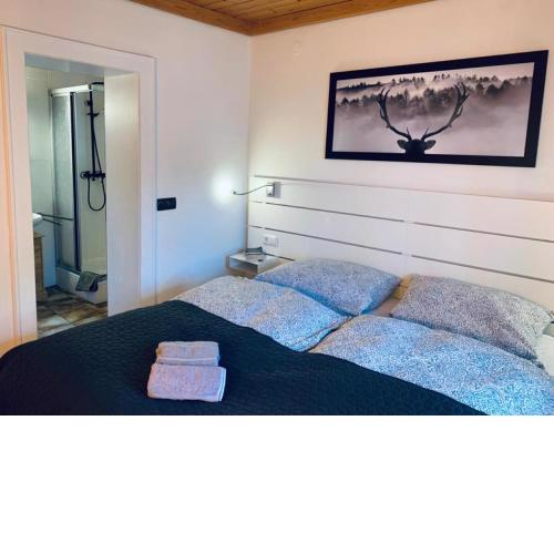Lilly Chalet- Apartments with private sauna, close to ski lifts