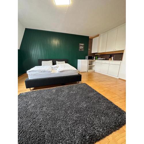 Linz -central condo