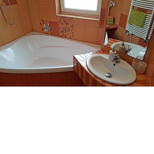 Lipno -1 Apartmány