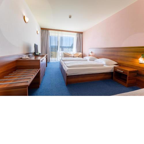 Lipno Wellness - Frymburk C104 privat family room