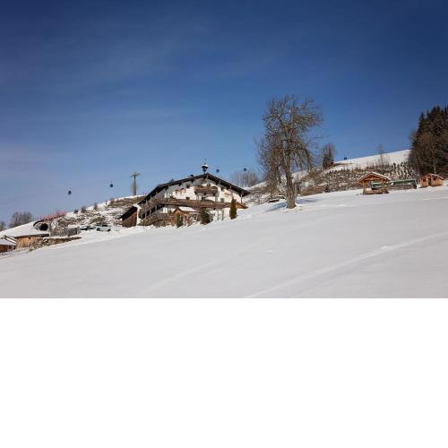 Lohningbauer