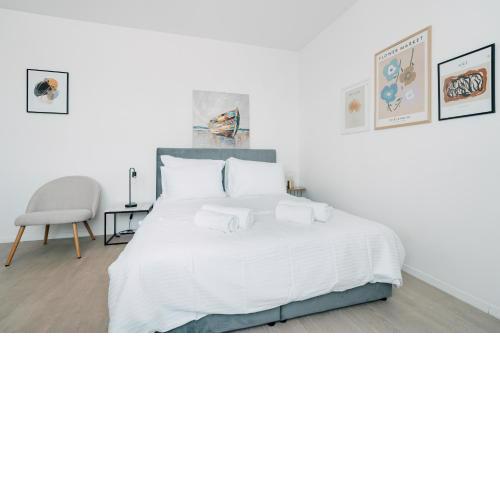 Luminous Living Studio