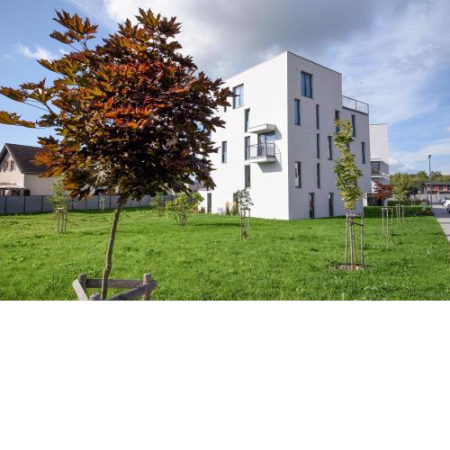 Luna Apartman