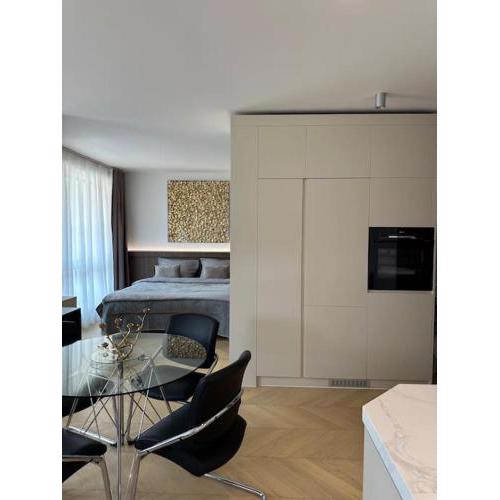 Luxe apartment near the airport