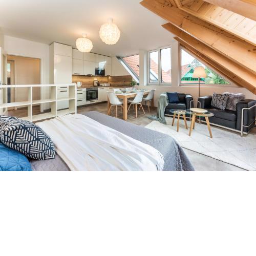 Luxury apartman Lipno