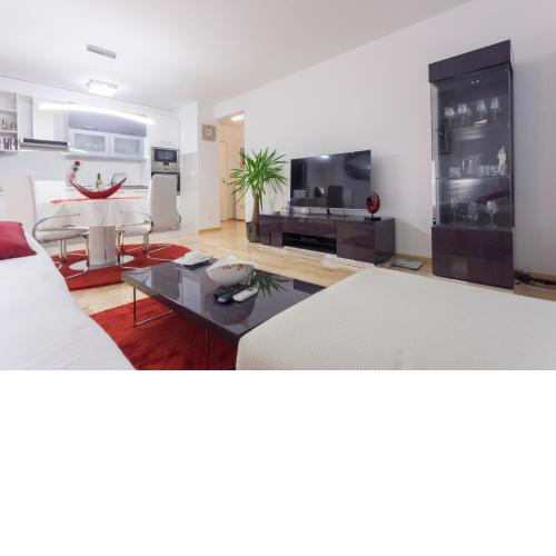 Luxury Apartment