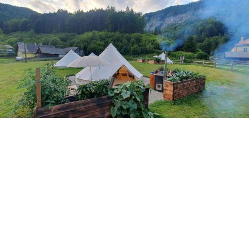 Luxury Glamping in the Vienna Alps
