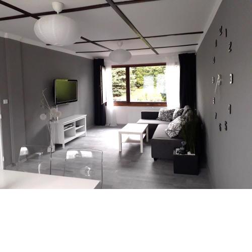 Luxury Living Apartment