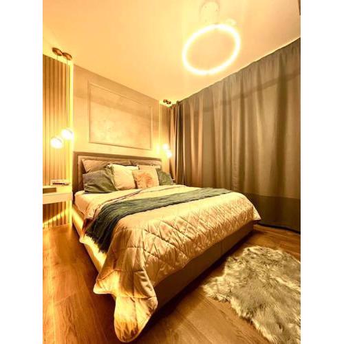 Luxury Pearl with Parking place in Holešovice