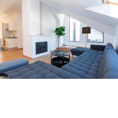 Luxury Penthouse - Augarten