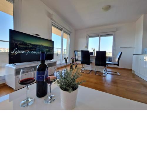 Luxury Penthouse "MANK" with private Parking